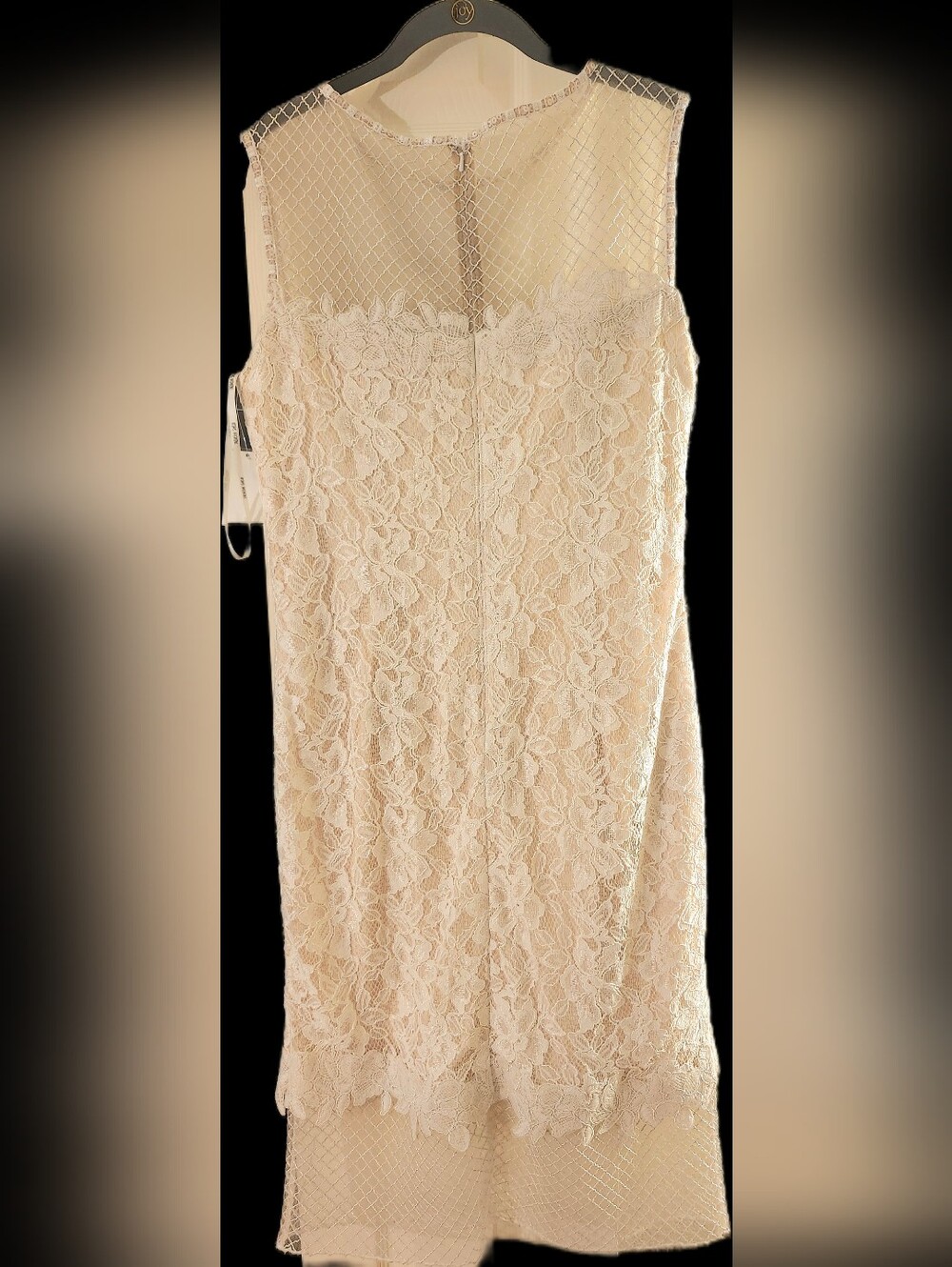Tadashi Shoji Cream Lace Sheath Dress with Mesh YokeNWT